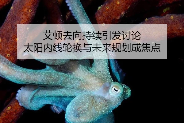 艾顿去向持续引发讨论 太阳内线轮换与未来规划成焦点